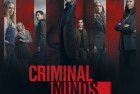 [电视剧集] [BT下载][犯罪心理 Criminal Minds 第十七季][全10集][英语中字][MKV][1080P/2160P][多版]