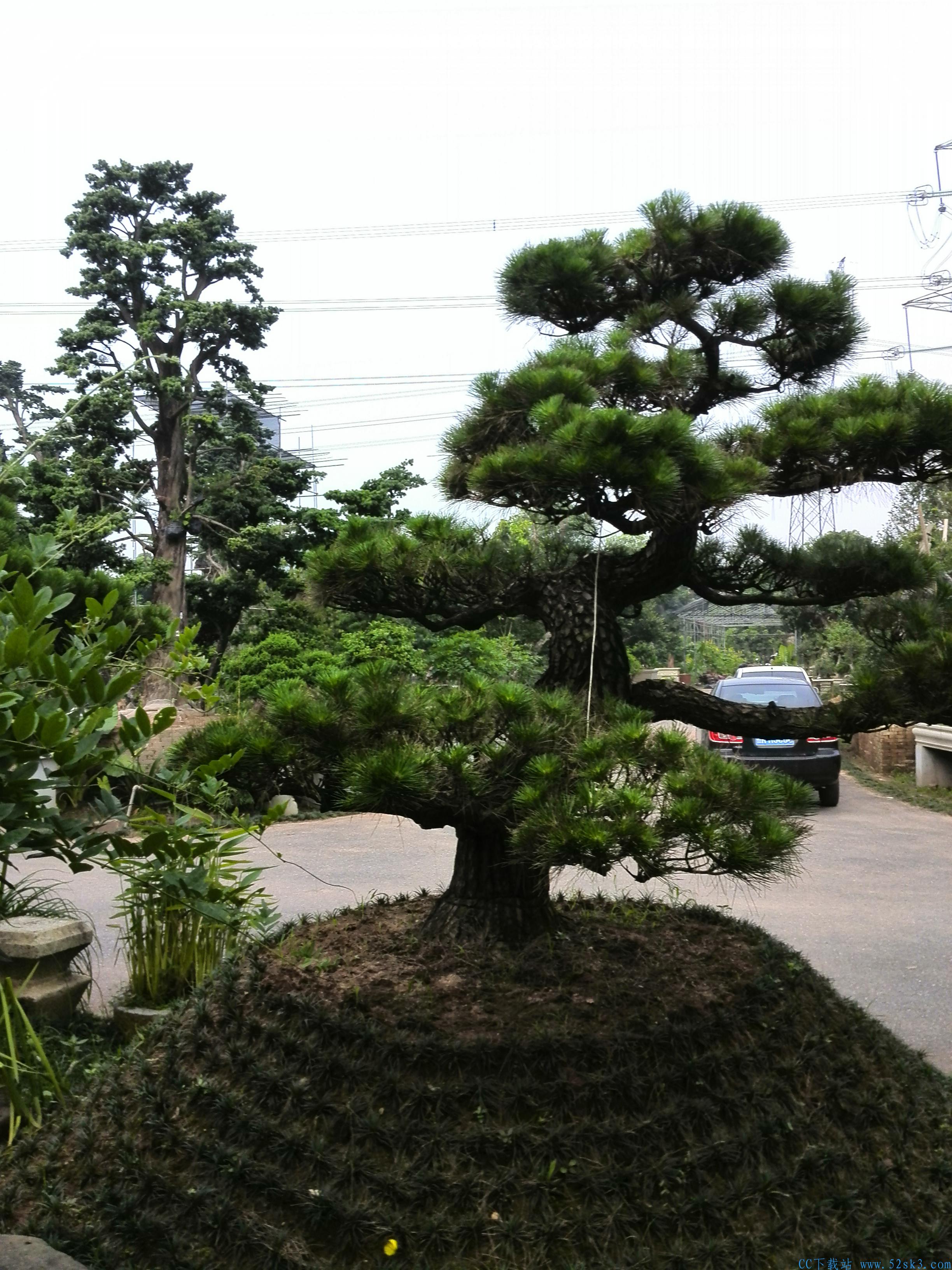 [风景] 北流会仙河公园【65P】