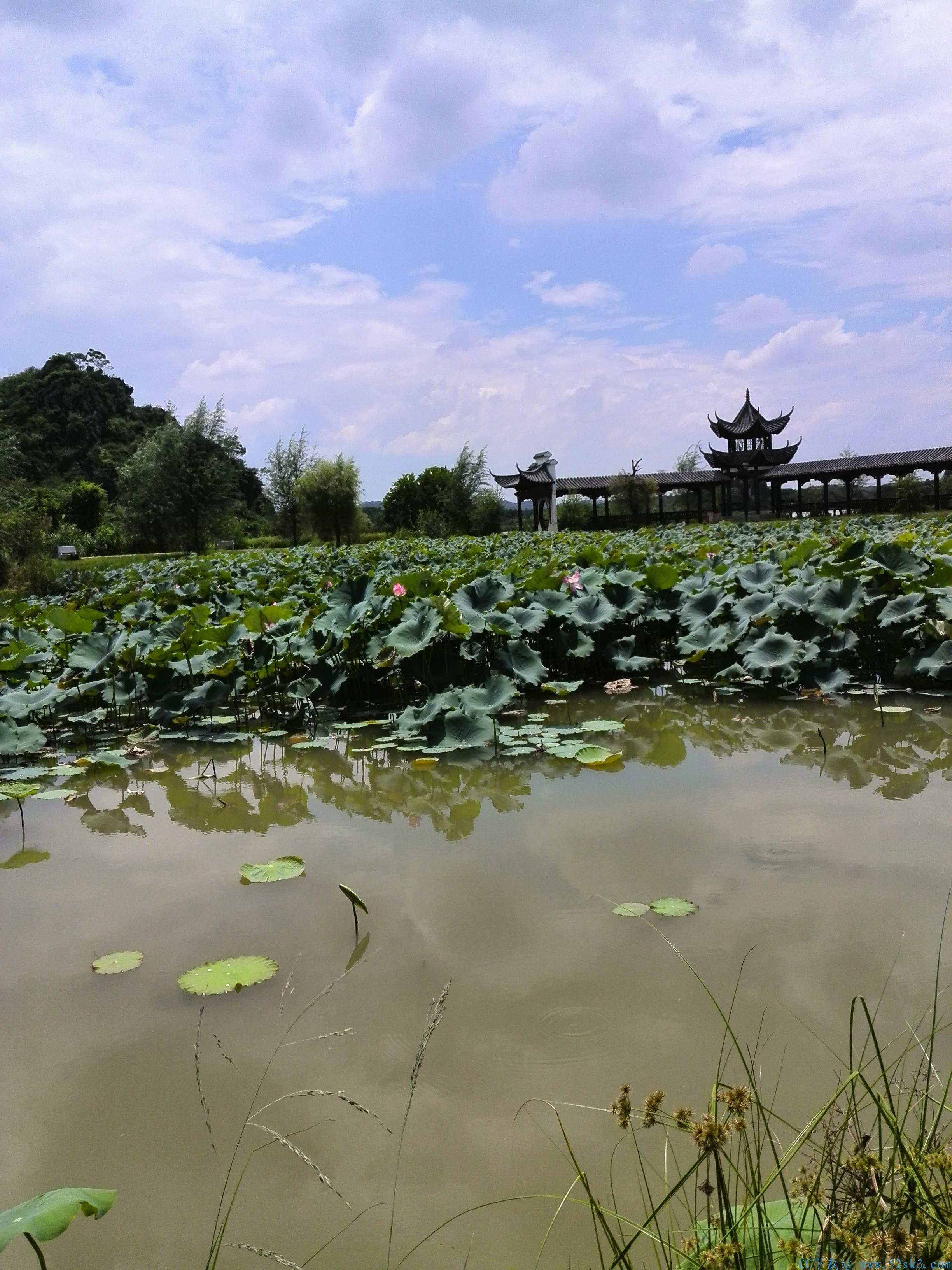 [风景] 北流会仙河公园【65P】